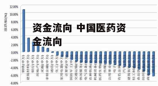 资金流向 中国医药资金流向