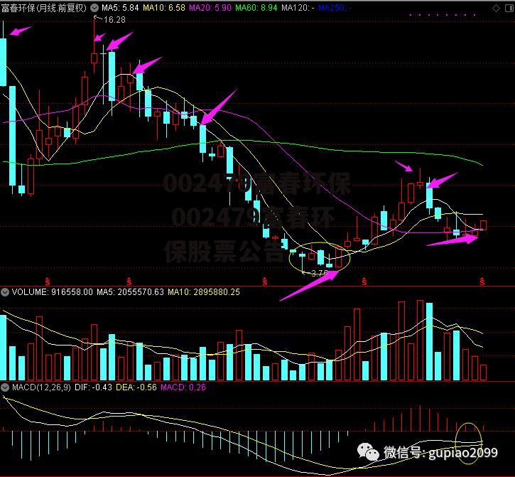 002479富春环保 002479富春环保股票公告