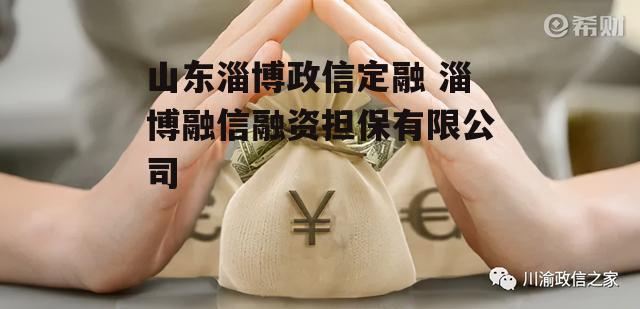 山东淄博政信定融