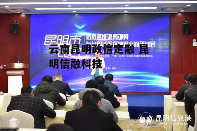 云南昆明政信定融