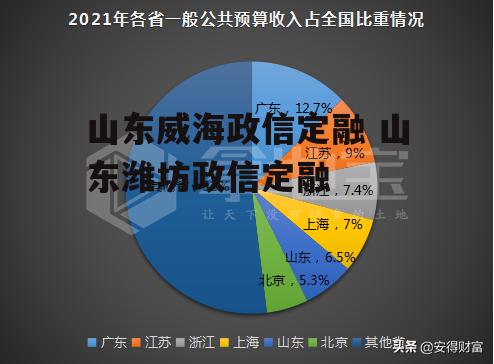 山东威海政信定融