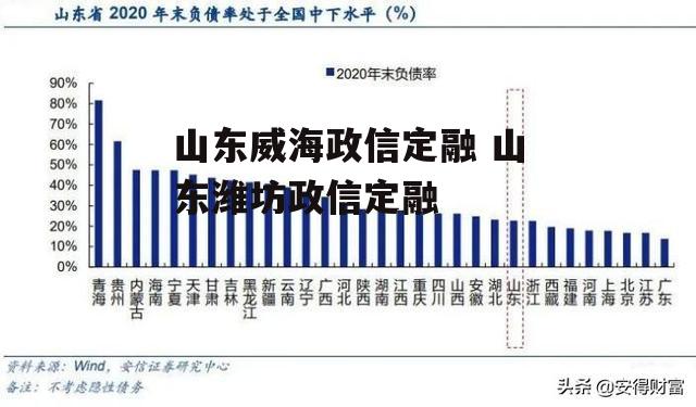 山东威海政信定融