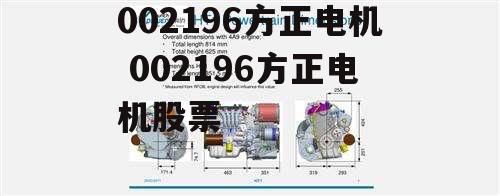 002196方正电机 002196方正电机股票