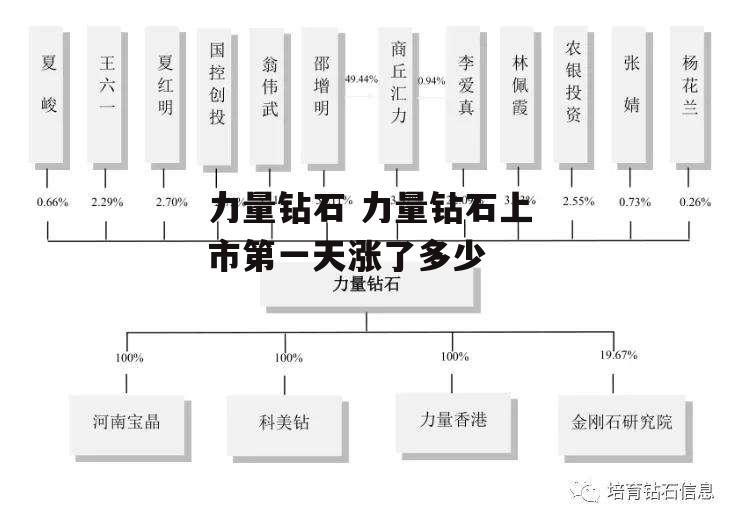 力量钻石 力量钻石上市第一天涨了多少