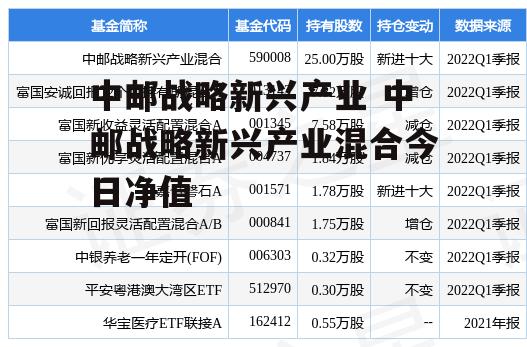 中邮战略新兴产业