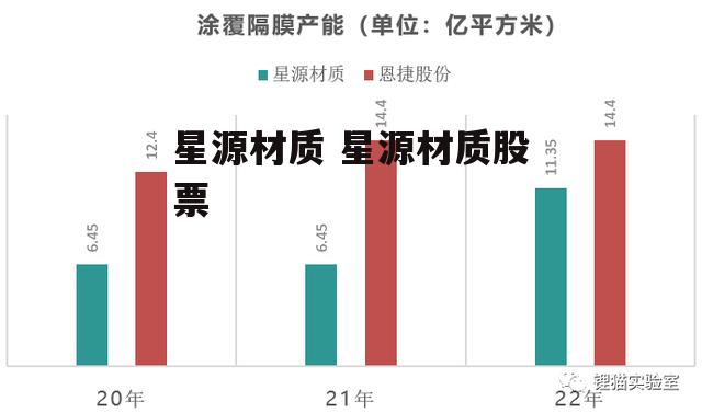 星源材质 星源材质股票