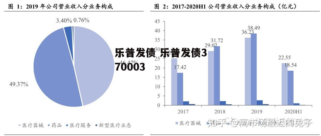 乐普发债 乐普发债370003