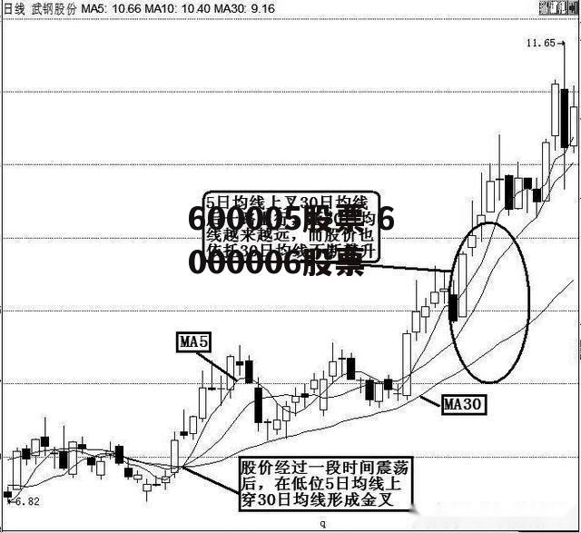 600005股票 6000006股票