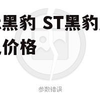 st黑豹 ST黑豹历史价格