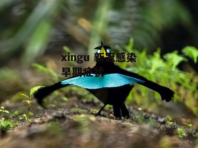 xingu