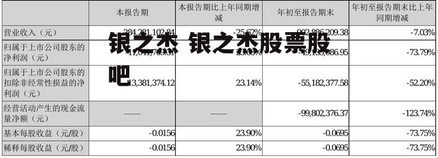 银之杰 银之杰股票股吧