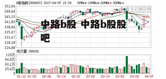 中路b股 中路b股股吧