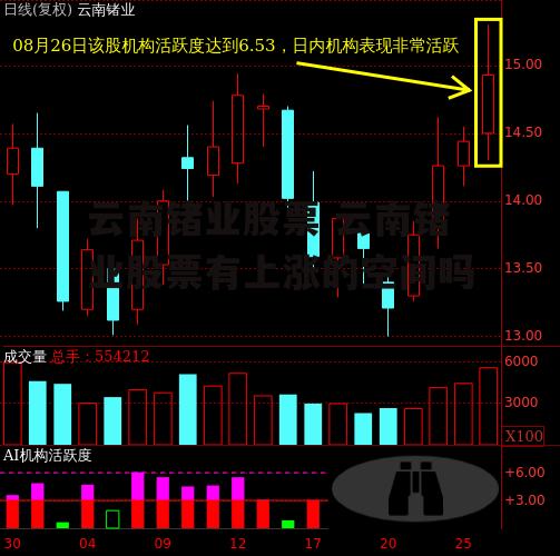 云南锗业股票 云南锗业股票有上涨的空间吗