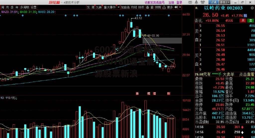 600780通宝能源 600780通宝能源股票新浪