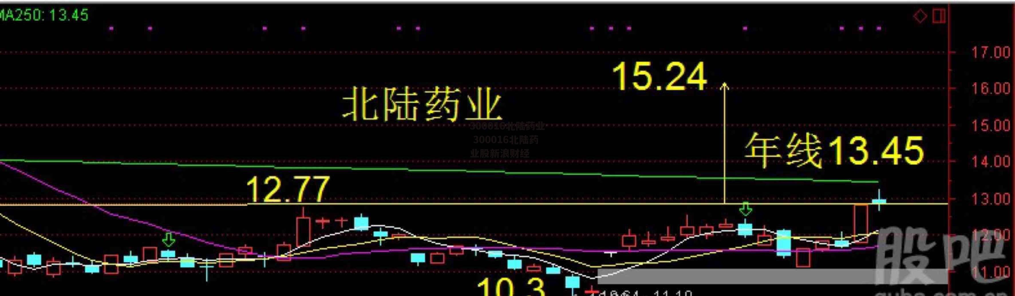 300016北陆药业 300016北陆药业股新浪财经