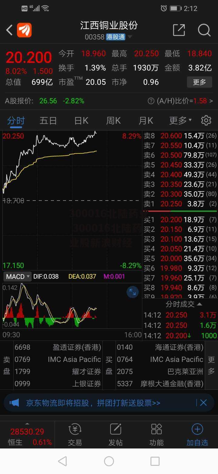 300016北陆药业 300016北陆药业股新浪财经