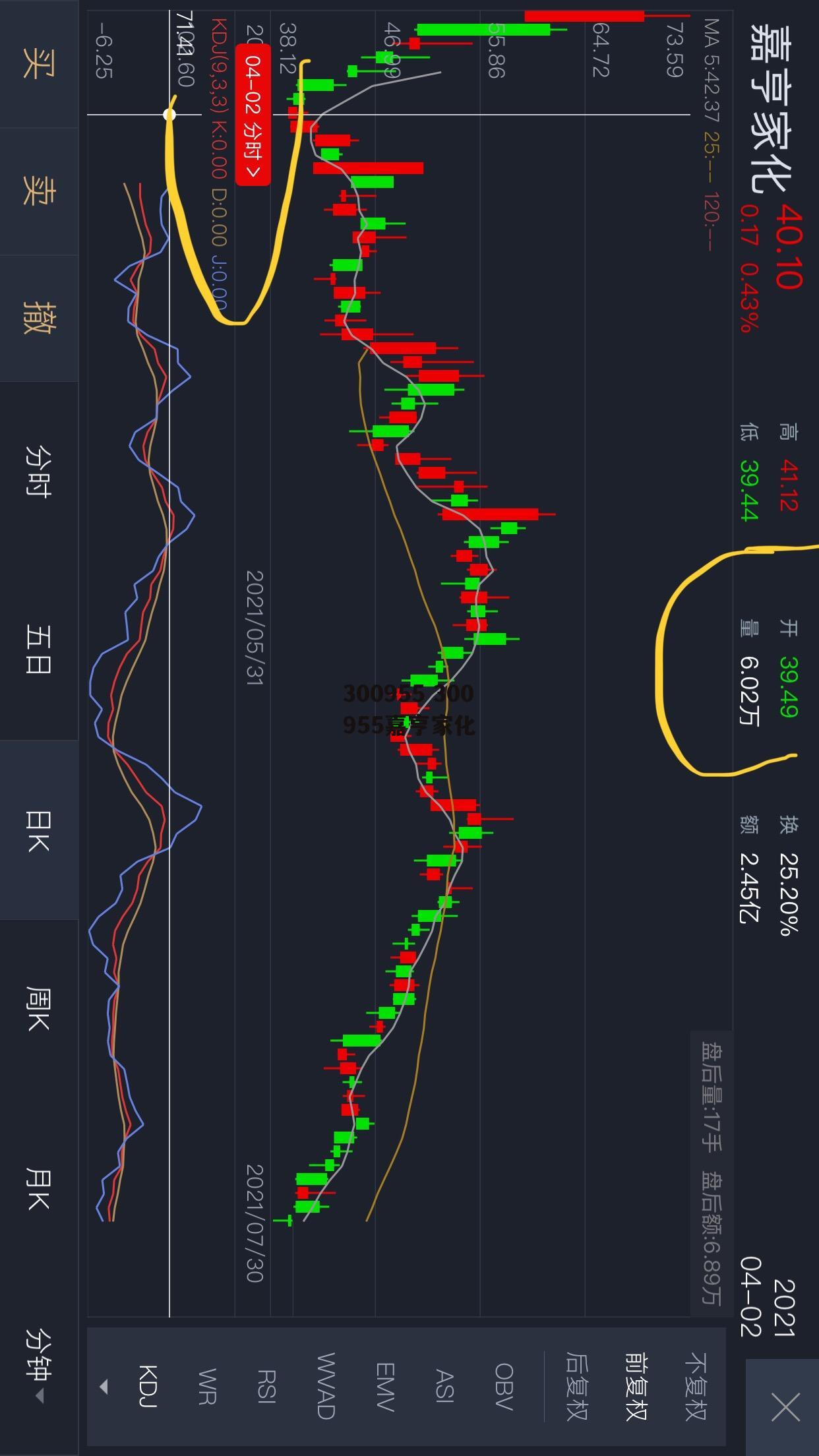 300955 300955嘉亨家化