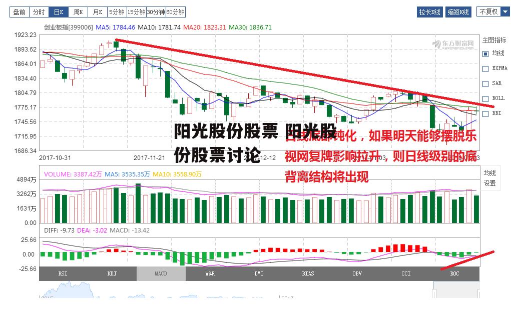 阳光股份股票 阳光股份股票讨论