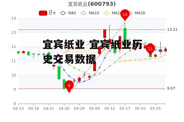 宜宾纸业 宜宾纸业历史交易数据