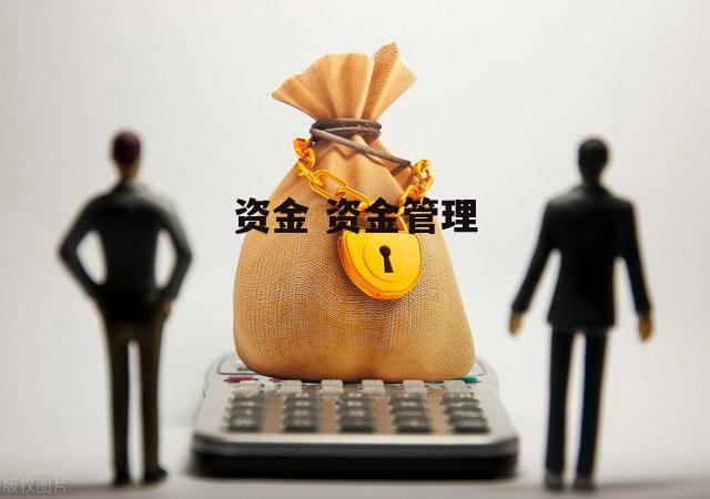 资金 资金管理