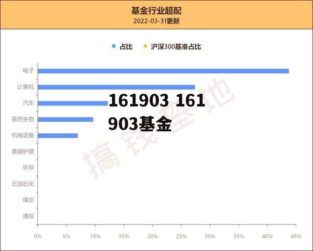 161903 161903基金