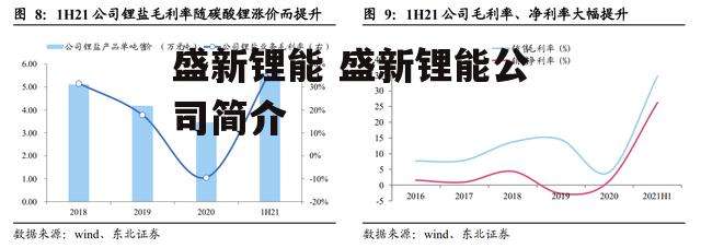 盛新锂能 盛新锂能公司简介