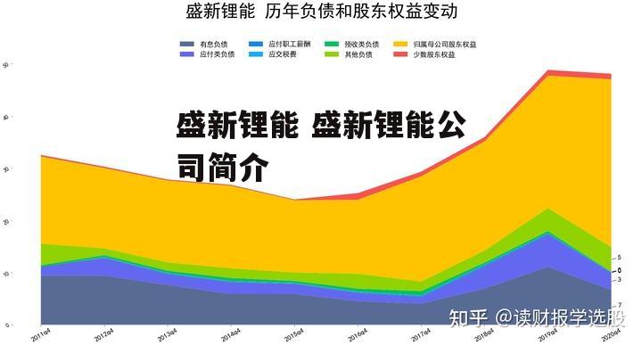 盛新锂能 盛新锂能公司简介