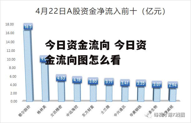 今日资金流向 今日资金流向图怎么看