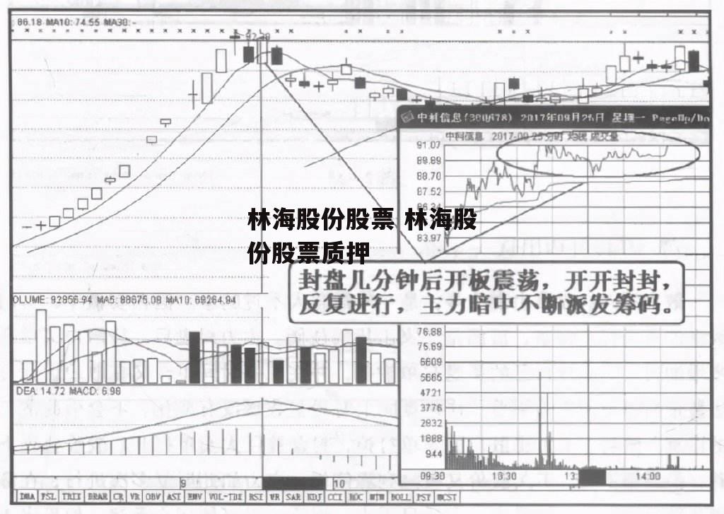 林海股份股票 林海股份股票质押