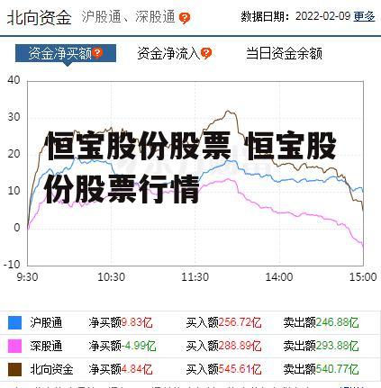 恒宝股份股票 恒宝股份股票行情