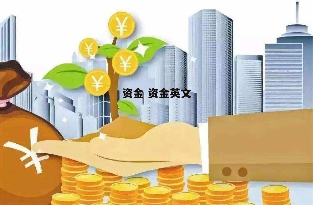 资金 资金英文