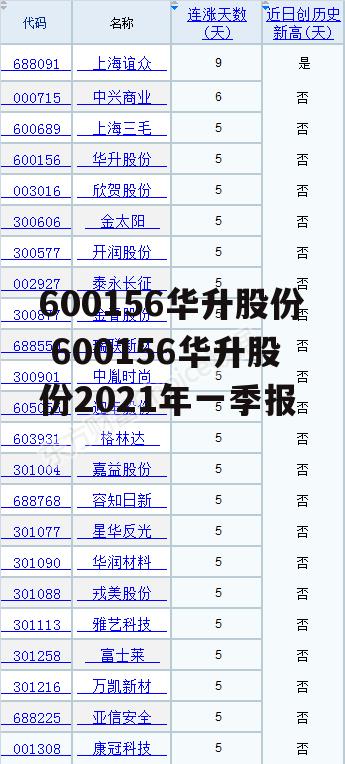 600156华升股份 600156华升股份2021年一季报