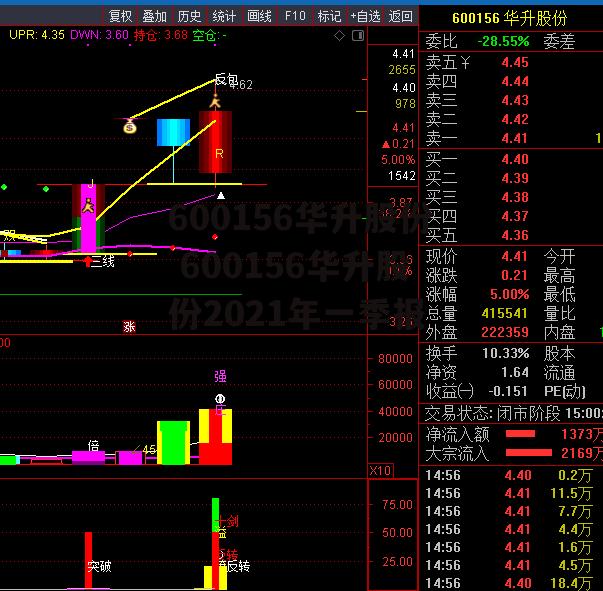 600156华升股份 600156华升股份2021年一季报