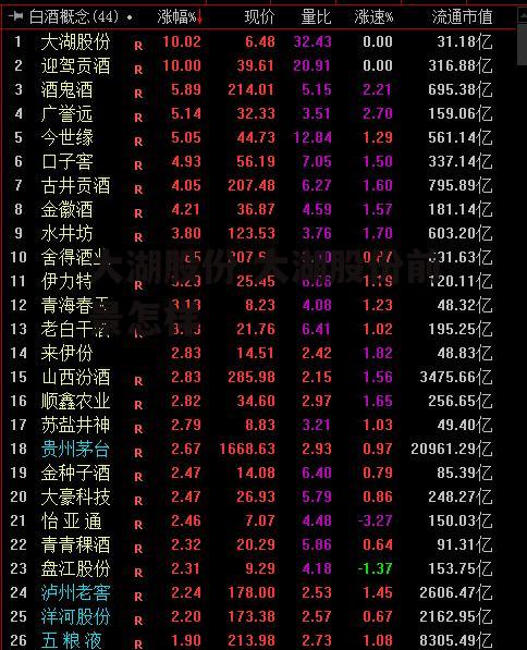 大湖股份 大湖股份前景怎样