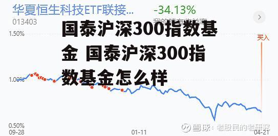 国泰沪深300指数基金 国泰沪深300指数基金怎么样