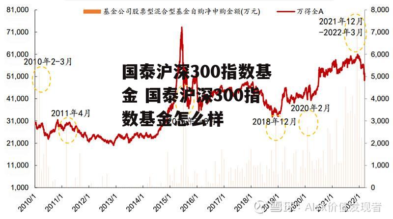 国泰沪深300指数基金 国泰沪深300指数基金怎么样