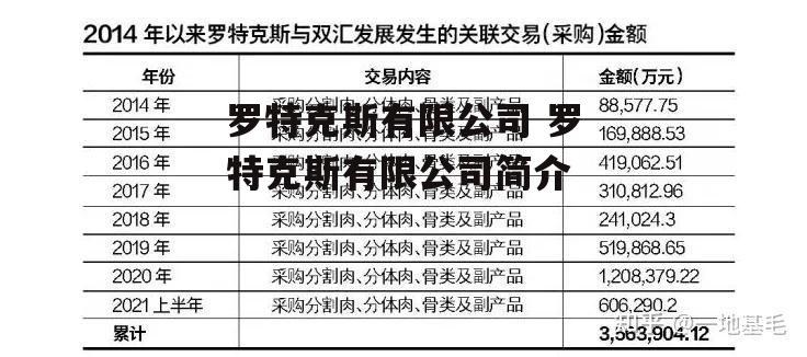 罗特克斯有限公司 罗特克斯有限公司简介