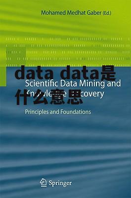 data data是什么意思