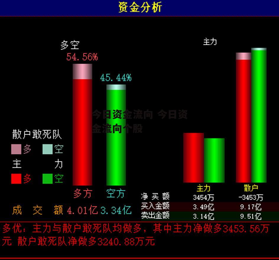 今日资金流向 今日资金流向个股