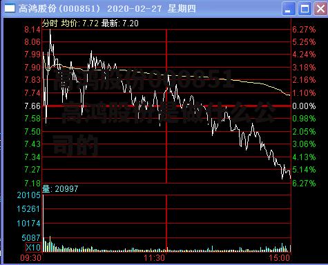 高鸿股份000851 高鸿股份是做什么公司的