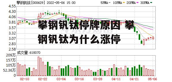 攀钢钒钛停牌原因 攀钢钒钛为什么涨停