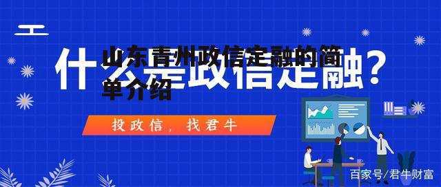 山东青州政信定融的简单介绍