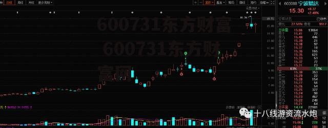 600731东方财富 600731东方财富网