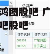 广东鸿图股吧 广东鸿图股吧股吧