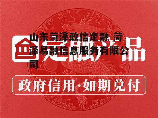 山东菏泽政信定融 菏泽易融信息服务有限公司