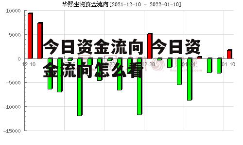 今日资金流向 今日资金流向怎么看