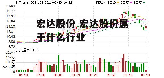 宏达股份 宏达股份属于什么行业