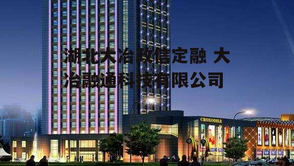 湖北大冶政信定融 大冶融通科技有限公司