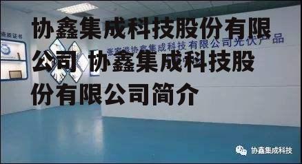 协鑫集成科技股份有限公司 协鑫集成科技股份有限公司简介