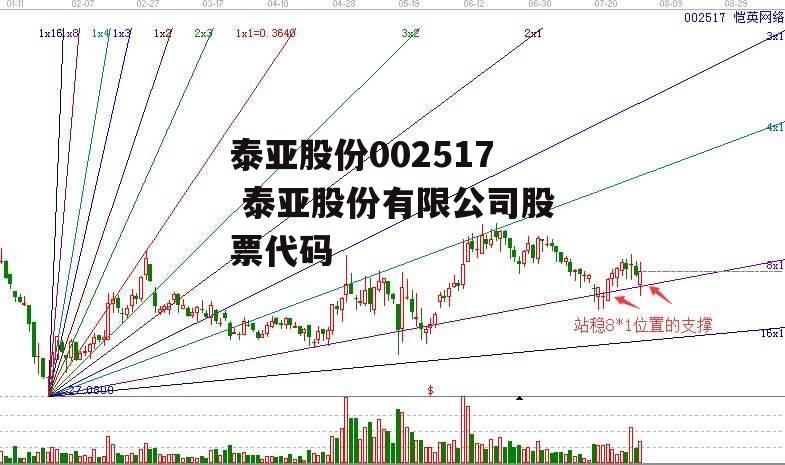 泰亚股份002517 泰亚股份有限公司股票代码